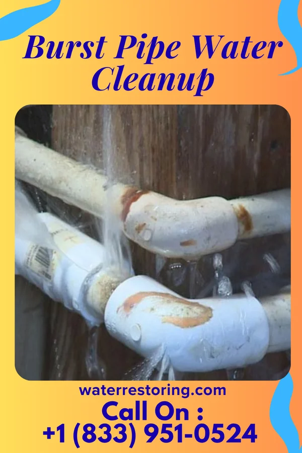 Burst Pipe Water Cleanup in Summit, NJ