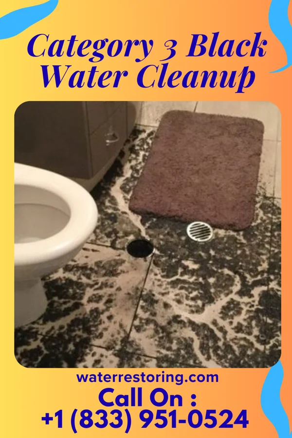 Category 3 Black Water Cleanup in Summit, NJ