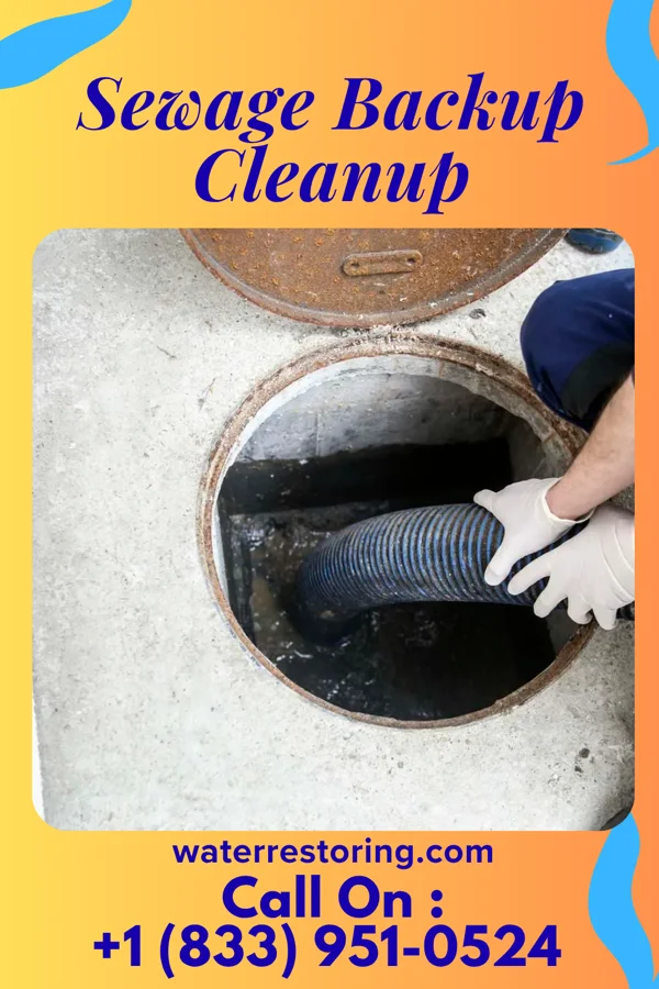 Sewage Backup Cleanup in Summit, NJ