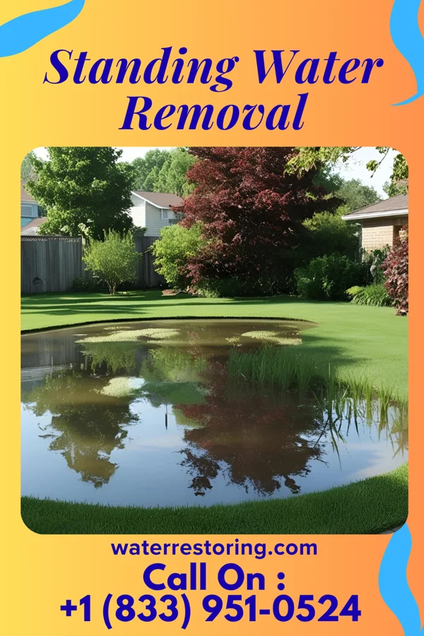 Standing Water Removal in Summit, NJ